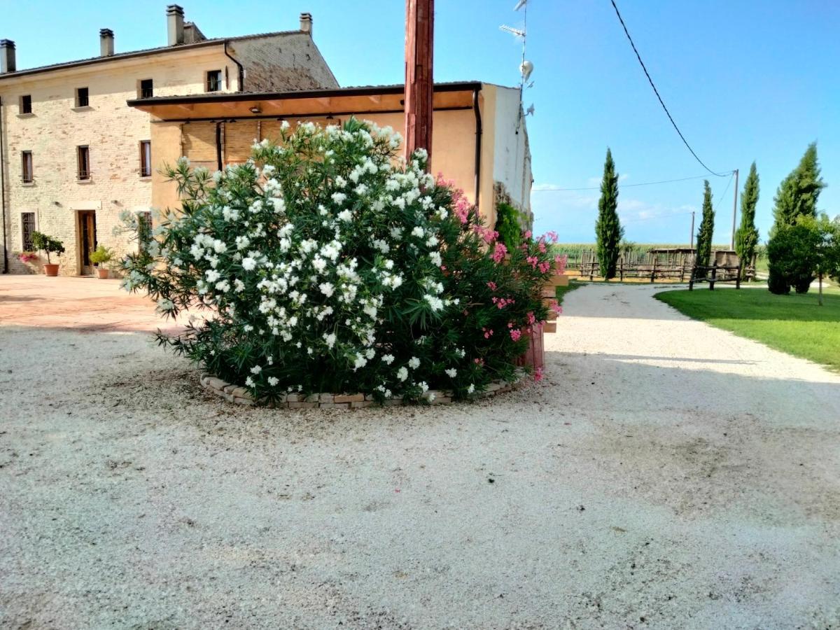 B&B Turistic 7 Castel Goffredo Kültér fotó