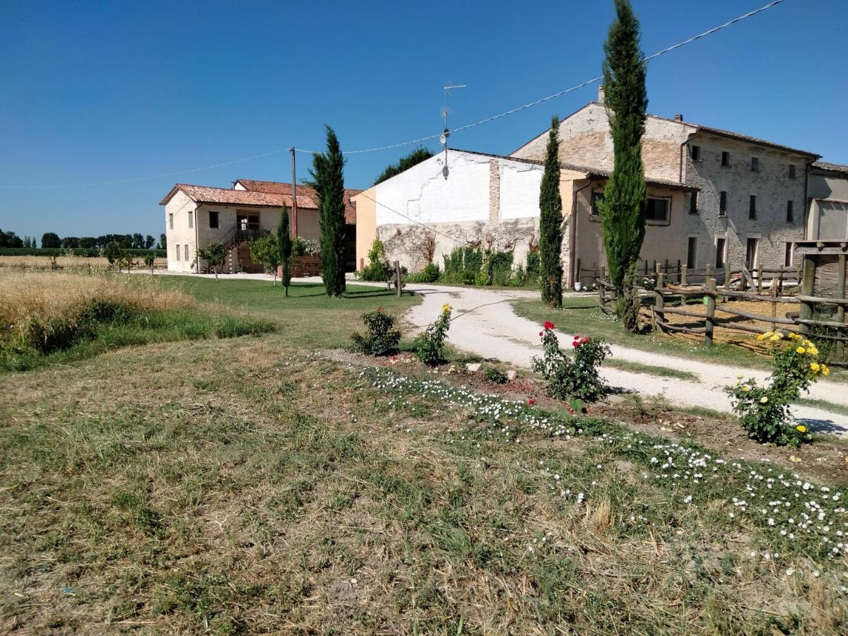 B&B Turistic 7 Castel Goffredo Kültér fotó