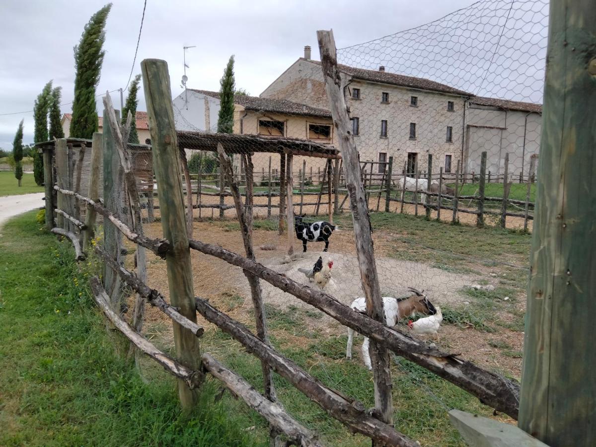B&B Turistic 7 Castel Goffredo Kültér fotó